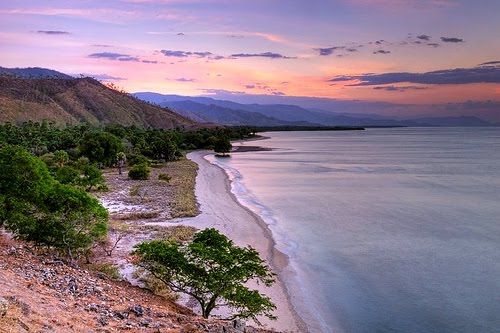 Pulau Timor